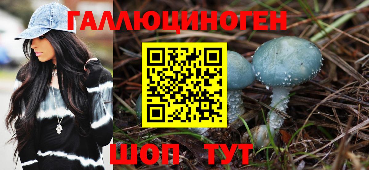 Кизляр  Псилоцибиновые грибы прущие грибы  Вход с VPN 