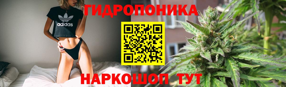 Шишки марихуана конопля  Шишки марихуана SATIVA & INDICA  Вход с VPN  Бошки Шишки LSD WEED  Кизляр 